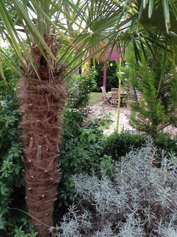 Hotel Les Jardins Carnot Compiègne Pokoj fotografie